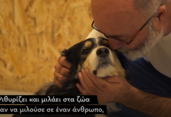 Ο Έλληνας κτηνίατρος που θεραπεύει σκύλους και γάτες εφαρμόζοντας ομοιοπαθητική